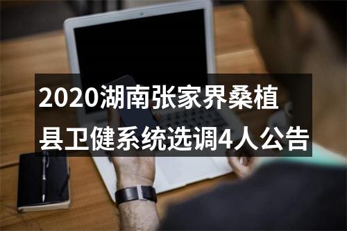 2020湖南张家界桑植县卫健系统选调4人公告 图片