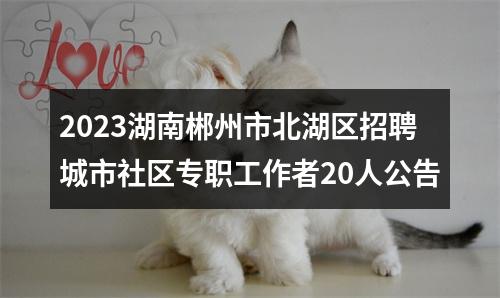 2023湖南郴州市北湖区招聘城市社区专职工作者20人公告 图片