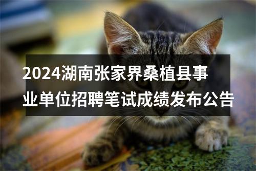 2024湖南张家界桑植县事业单位招聘笔试成绩发布公告 图片