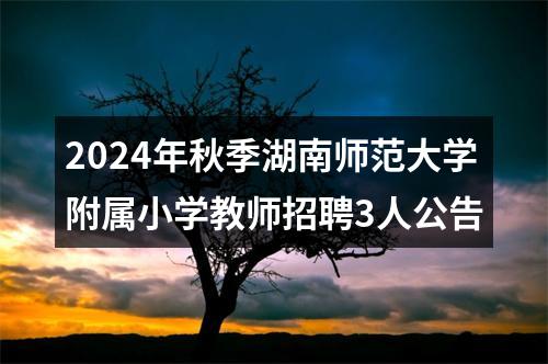 2024年秋季湖南师范大学附属小学教师招聘3人公告 图片