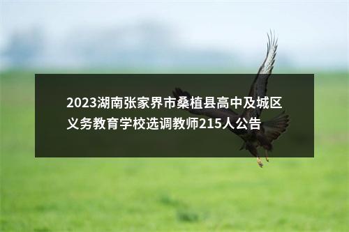 2023湖南张家界市桑植县高中及城区义务教育学校选调教师215人公告 图片