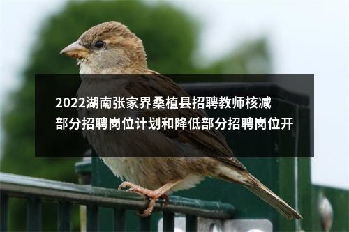 2022湖南张家界桑植县招聘教师核减部分招聘岗位计划和降低部分招聘岗位开考比例公告 图片