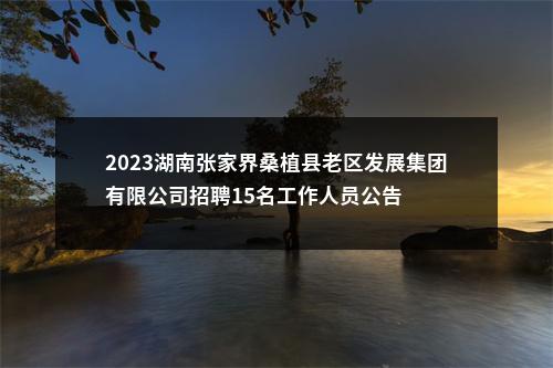2023湖南张家界桑植县老区发展集团有限公司招聘15名工作人员公告 图片