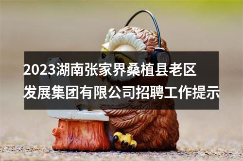 2023湖南张家界桑植县老区发展集团有限公司招聘工作提示 图片