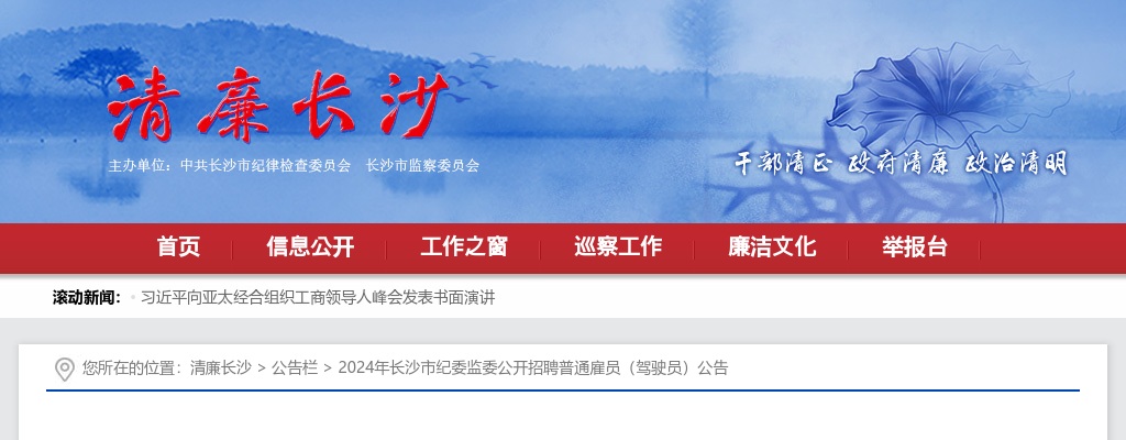 2024湖南长沙市纪委监委招聘普通雇员（驾驶员）公告 图片